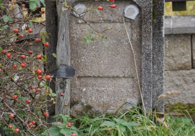 Loučná pod Klínovcem, Omnium, 2020