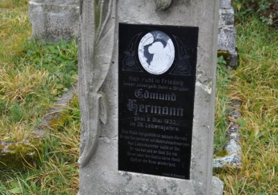 Loučná pod Klínovcem, Omnium, 2020