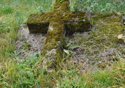 Loučná pod Klínovcem, Omnium, 2020