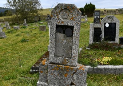 Loučná pod Klínovcem, Omnium, 2020