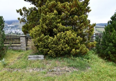 Loučná pod Klínovcem, Omnium, 2020