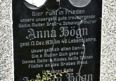 Loučná pod Klínovcem, Omnium, 2020