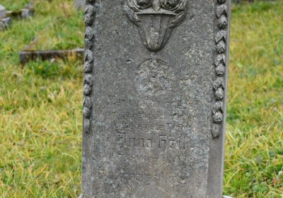 Loučná pod Klínovcem, Omnium, 2020