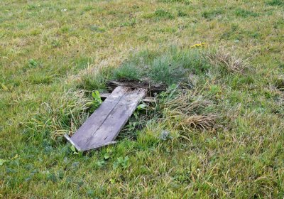 Loučná pod Klínovcem, Omnium, 2020