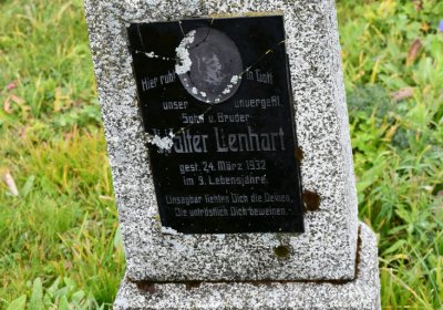 Loučná pod Klínovcem, Omnium, 2020