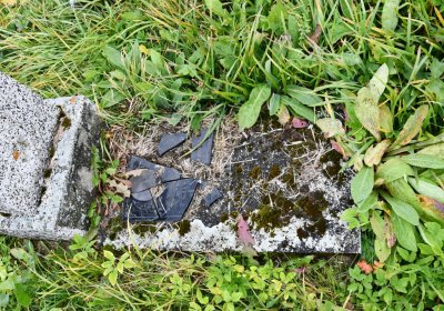 Loučná pod Klínovcem, Omnium, 2020