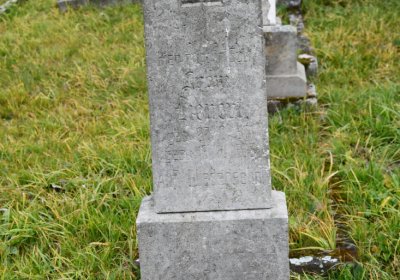 Loučná pod Klínovcem, Omnium, 2020