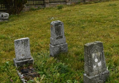 Loučná pod Klínovcem, Omnium, 2020