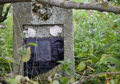 Loučná pod Klínovcem, Omnium, 2020