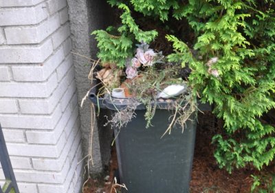 Loučná pod Klínovcem, Omnium, 2020