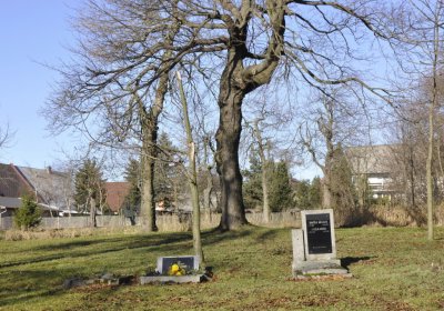 Sedláček Hugo, 2015