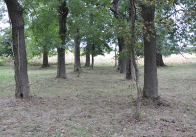 Hora Svatého Šebestiána, Omnium, 2020