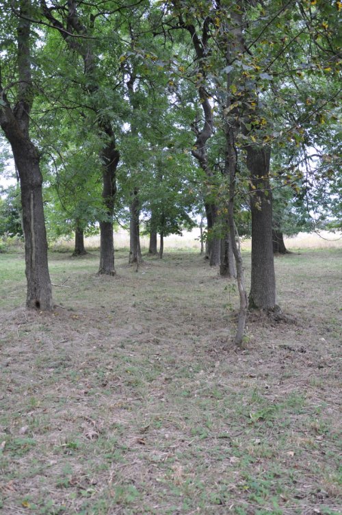 Hora Svatého Šebestiána