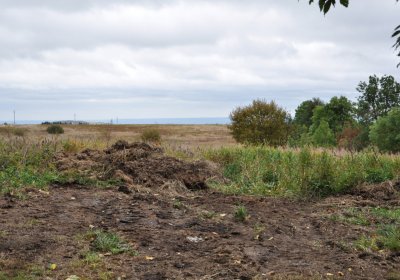 Hora Svatého Šebestiána, Omnium, 2020