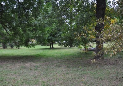 Hora Svatého Šebestiána, Omnium, 2020