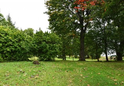 Hora Svatého Šebestiána, Omnium, 2020