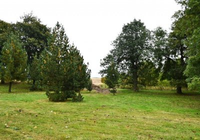 Hora Svatého Šebestiána, Omnium, 2020