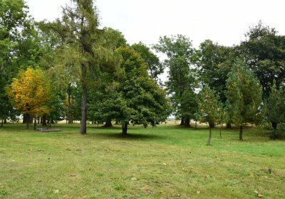 Hora Svatého Šebestiána, Omnium, 2020