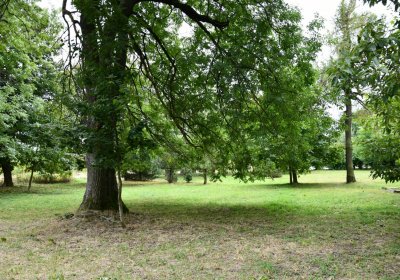 Hora Svatého Šebestiána, Omnium, 2020