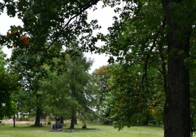 Hora Svatého Šebestiána, Omnium, 2020