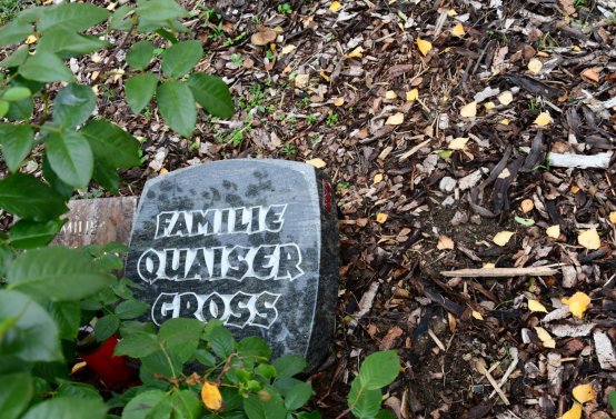 Hrušovany u Chomutova, Omnium, 2020