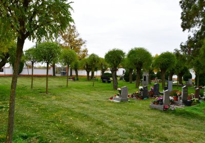 Hrušovany u Chomutova, Omnium, 2020