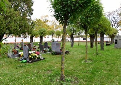 Hrušovany u Chomutova, Omnium, 2020