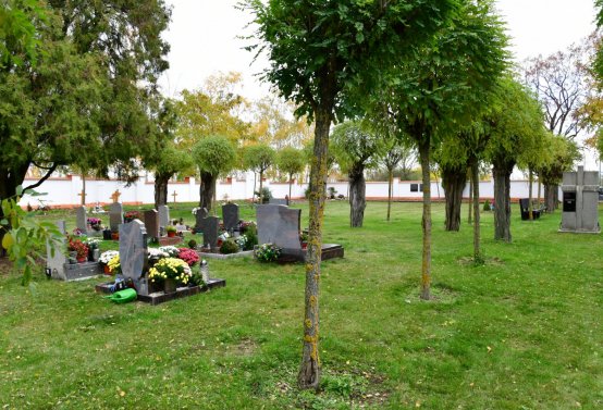 Hrušovany u Chomutova, Omnium, 2020