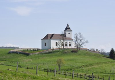 Sedláček Hugo, 2013