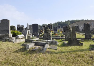 Sedláček Hugo, 2016