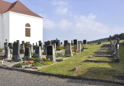 Sedláček Hugo, 2016