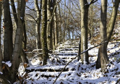 Sedláček Hugo, 2016