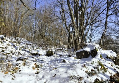 Sedláček Hugo, 2016