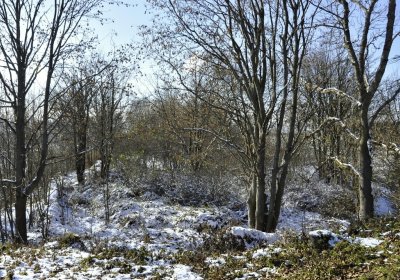 Sedláček Hugo, 2016