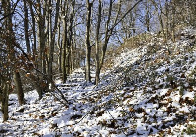 Sedláček Hugo, 2016