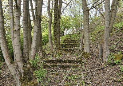 Sedláček Hugo, 2015