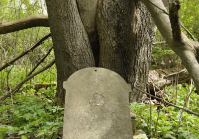 Sedláček Hugo, 2015