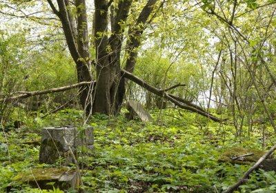 Sedláček Hugo, 2015