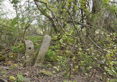 Sedláček Hugo, 2015