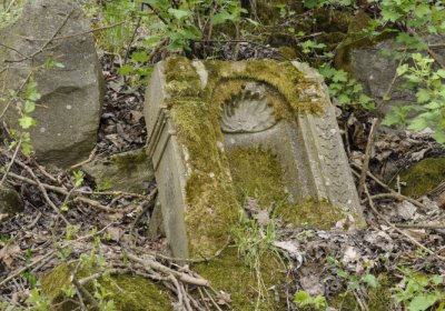 Sedláček Hugo, 2015