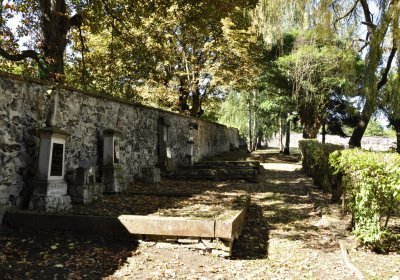 Sedláček Hugo, 2016