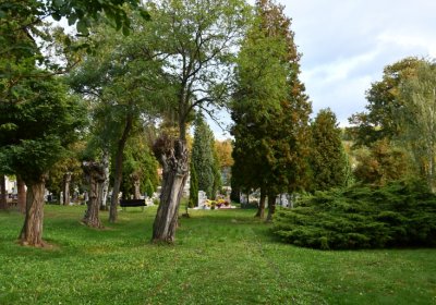 Mašťov, Omnium, 2020