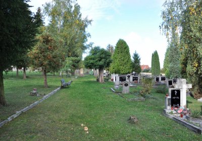 Mašťov, Omnium, 2020