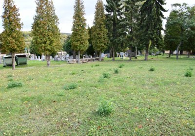 Mašťov, Omnium, 2020