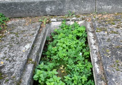 Mašťov, Omnium, 2020