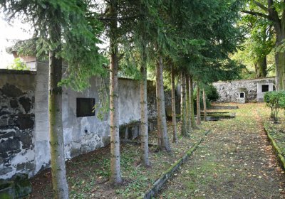 Mašťov, Omnium, 2020