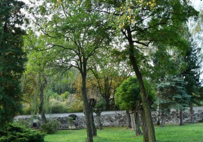 Mašťov, Omnium, 2020