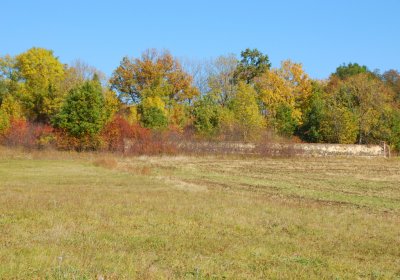 Sedláček Hugo, 2009