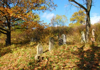 Sedláček Hugo, 2009