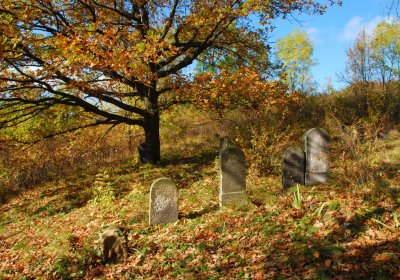 Sedláček Hugo, 2009